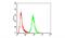 Annexin A5 antibody, NBP2-52413, Novus Biologicals, Flow Cytometry image 