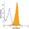 TNF Receptor Superfamily Member 1B antibody, FAB226A, R&D Systems, Flow Cytometry image 