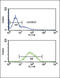 Progressive ankylosis protein homolog antibody, LS-B9904, Lifespan Biosciences, Flow Cytometry image 