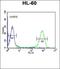 LIM Domain Kinase 1 antibody, orb214192, Biorbyt, Flow Cytometry image 