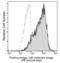 M13 phage coat protein antibody, 11973-MM05T-P, Sino Biological, Flow Cytometry image 