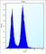 Signal Sequence Receptor Subunit 2 antibody, abx027257, Abbexa, Western Blot image 