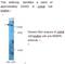 RB Binding Protein 6, Ubiquitin Ligase antibody, MBS415476, MyBioSource, Western Blot image 