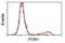 Paraoxonase 1 antibody, NBP2-03706, Novus Biologicals, Flow Cytometry image 