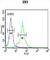 Dermcidin antibody, abx032955, Abbexa, Western Blot image 