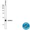 Cystatin C antibody, AF6154, R&D Systems, Western Blot image 