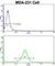 RAN Binding Protein 9 antibody, abx033970, Abbexa, Western Blot image 