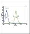 Neuropeptide VF Precursor antibody, PA5-25175, Invitrogen Antibodies, Flow Cytometry image 