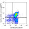 C-X-C Motif Chemokine Receptor 4 antibody, 146502, BioLegend, Flow Cytometry image 