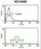 EGF-containing fibulin-like extracellular matrix protein 1 antibody, LS-C167641, Lifespan Biosciences, Flow Cytometry image 