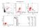 CD2 Molecule antibody, NBP2-47979PE, Novus Biologicals, Flow Cytometry image 