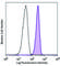 CSF3R antibody, 346110, BioLegend, Flow Cytometry image 