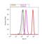 G-protein coupled receptor 55 antibody, 720285, Invitrogen Antibodies, Flow Cytometry image 