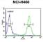 Acyl-CoA Dehydrogenase Family Member 10 antibody, abx025919, Abbexa, Western Blot image 