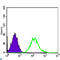 Cyclin Dependent Kinase 1 antibody, LS-C812423, Lifespan Biosciences, Flow Cytometry image 