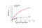 Insulin Receptor Substrate 1 antibody, 7284S, Cell Signaling Technology, Enzyme Linked Immunosorbent Assay image 