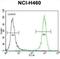 Phosphatidylinositol-3,4,5-Trisphosphate Dependent Rac Exchange Factor 1 antibody, abx026896, Abbexa, Flow Cytometry image 