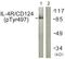 Interleukin 4 Receptor antibody, PA5-38614, Invitrogen Antibodies, Western Blot image 