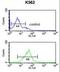 Eukaryotic Translation Initiation Factor 3 Subunit G antibody, LS-C167690, Lifespan Biosciences, Flow Cytometry image 