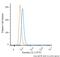 Baculoviral IAP Repeat Containing 5 antibody, NB500-237F, Novus Biologicals, Flow Cytometry image 