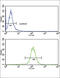 ATP Binding Cassette Subfamily G Member 1 antibody, abx032854, Abbexa, Flow Cytometry image 