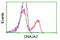 DnaJ homolog subfamily A member 2 antibody, TA501708, Origene, Flow Cytometry image 