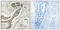 BCL2 Like 1 antibody, A00181T115, Boster Biological Technology, Immunohistochemistry frozen image 