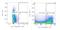 Calreticulin antibody, NBP1-47518AF700, Novus Biologicals, Flow Cytometry image 