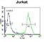 X-Ray Repair Cross Complementing 5 antibody, abx026529, Abbexa, Western Blot image 