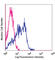 CD226 Molecule antibody, 338302, BioLegend, Flow Cytometry image 