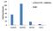 Histone Cluster 1 H2B Family Member B antibody, PA5-17779, Invitrogen Antibodies, Chromatin Immunoprecipitation image 