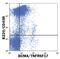 TNF Receptor Superfamily Member 17 antibody, FAB593F, R&D Systems, Flow Cytometry image 