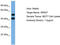 Spastin antibody, TA344697, Origene, Western Blot image 