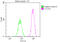 P21 (RAC1) Activated Kinase 2 antibody, CSB-RA592787A0HU, Cusabio, Flow Cytometry image 