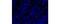 Autoimmune Regulator antibody, 50-5934-82, Invitrogen Antibodies, Immunofluorescence image 
