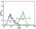 Syndecan 1 antibody, F53713-0.1ML, NSJ Bioreagents, Immunofluorescence image 