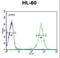 EYA Transcriptional Coactivator And Phosphatase 4 antibody, LS-C167872, Lifespan Biosciences, Flow Cytometry image 