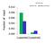 SWI/SNF Related, Matrix Associated, Actin Dependent Regulator Of Chromatin, Subfamily A, Member 5 antibody, PA5-40312, Invitrogen Antibodies, Chromatin Immunoprecipitation image 