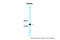 RAB3A, Member RAS Oncogene Family antibody, 31-123, ProSci, Western Blot image 