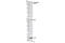 Minichromosome Maintenance Complex Component 2 antibody, 8861S, Cell Signaling Technology, Western Blot image 