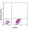 C-X3-C Motif Chemokine Receptor 1 antibody, 341612, BioLegend, Flow Cytometry image 