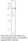 Toll Like Receptor 7 antibody, TLR-701AP, FabGennix, Western Blot image 