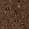 NudC domain-containing protein 3 antibody, HPA019136, Atlas Antibodies, Immunohistochemistry frozen image 