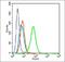 Calpain 14 antibody, orb156257, Biorbyt, Flow Cytometry image 