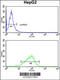 Glycerol-3-Phosphate Dehydrogenase 1 antibody, 63-493, ProSci, Flow Cytometry image 