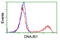 DnaJ Heat Shock Protein Family (Hsp40) Member B1 antibody, TA502244, Origene, Flow Cytometry image 