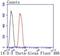 Tyrosine 3-Monooxygenase/Tryptophan 5-Monooxygenase Activation Protein Theta antibody, NBP2-67831, Novus Biologicals, Flow Cytometry image 