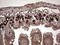 BrdU antibody, LS-C337103, Lifespan Biosciences, Immunohistochemistry paraffin image 