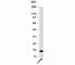 S100 Calcium Binding Protein A8 antibody, N1151-100UG, NSJ Bioreagents, Western Blot image 