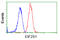 Eukaryotic Translation Initiation Factor 2 Subunit Alpha antibody, GTX84578, GeneTex, Flow Cytometry image 